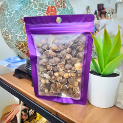 Packet of fresh brown Moringa Seeds 120 count on a wooden table.