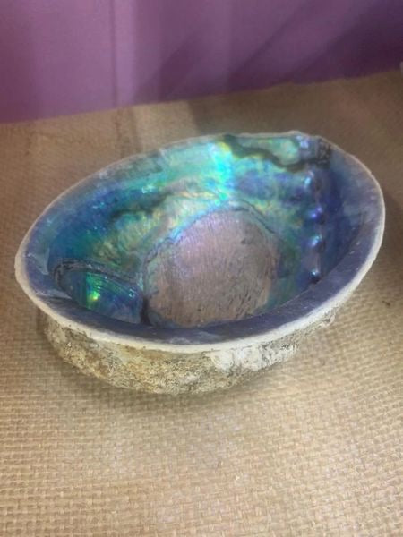 Sage Burner Abalone Shell