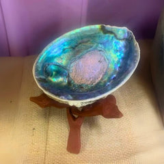 Large iridescent Abalone Shell resting on a carved wooden tripod stand.